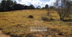 Oportunidade de Investimento 73 hectares Dupla Aptidão | São Tiago/MG