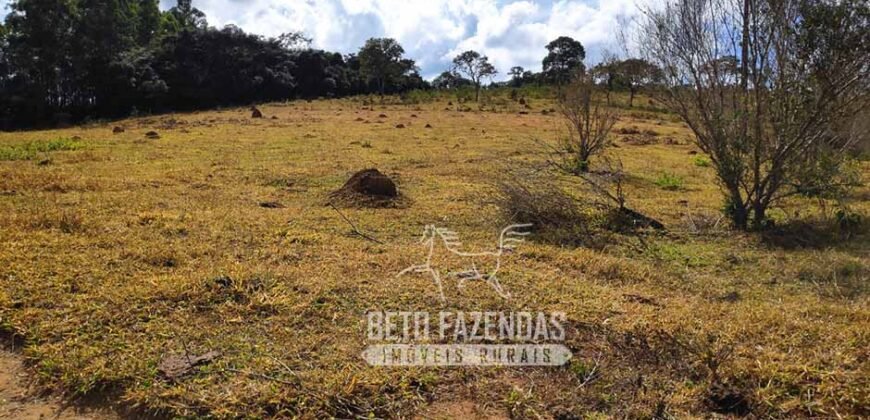 Oportunidade de Investimento 73 hectares Dupla Aptidão | São Tiago/MG