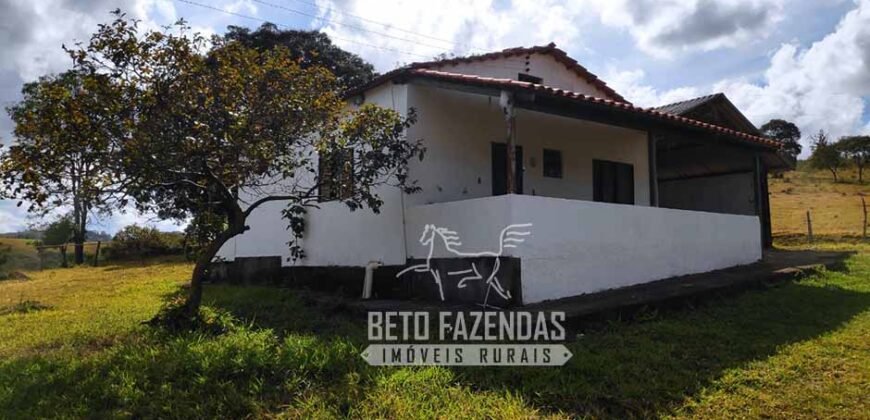 Oportunidade de Investimento 73 hectares Dupla Aptidão | São Tiago/MG