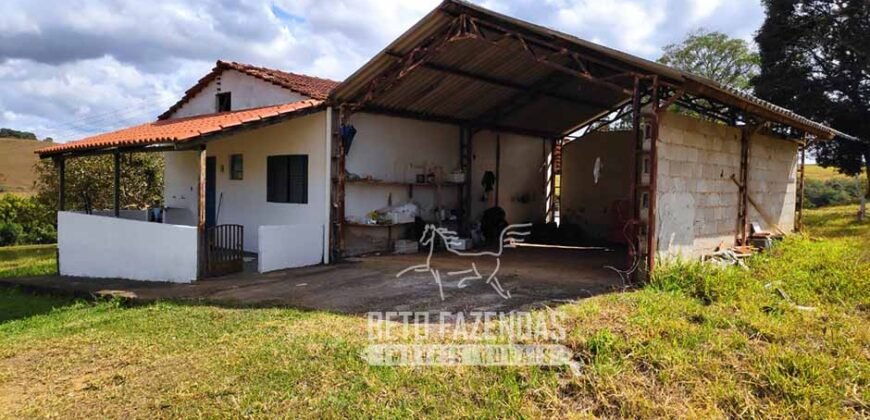 Oportunidade de Investimento 73 hectares Dupla Aptidão | São Tiago/MG