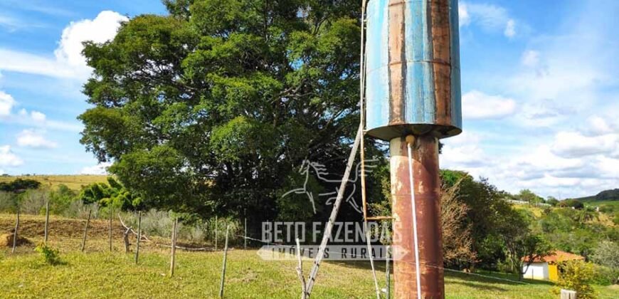 Oportunidade de Investimento 73 hectares Dupla Aptidão | São Tiago/MG