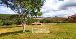 Oportunidade de Investimento 73 hectares Dupla Aptidão | São Tiago/MG