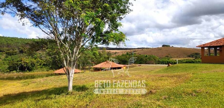 Oportunidade de Investimento 73 hectares Dupla Aptidão | São Tiago/MG