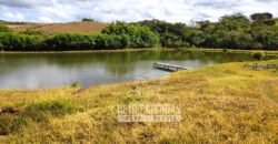 Oportunidade de Investimento 73 hectares Dupla Aptidão | São Tiago/MG