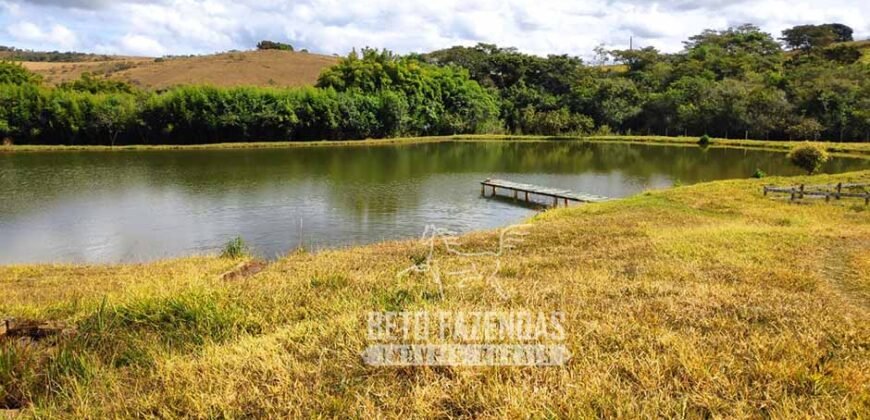 Oportunidade de Investimento 73 hectares Dupla Aptidão | São Tiago/MG