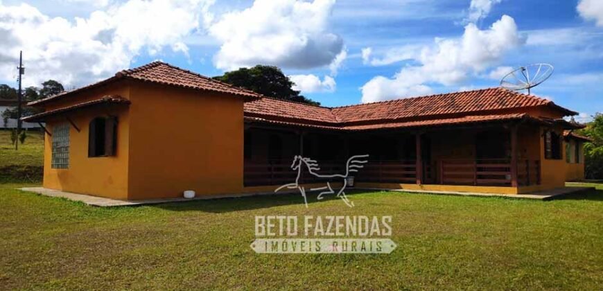 Oportunidade de Investimento 73 hectares Dupla Aptidão | São Tiago/MG