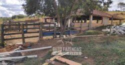 Oportunidade de Investimento 73 hectares Dupla Aptidão | São Tiago/MG