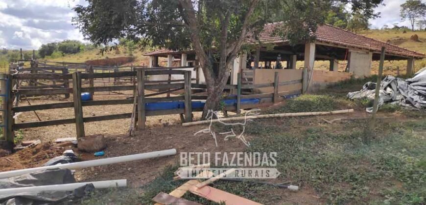 Oportunidade de Investimento 73 hectares Dupla Aptidão | São Tiago/MG