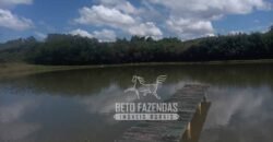 Oportunidade de Investimento 73 hectares Dupla Aptidão | São Tiago/MG