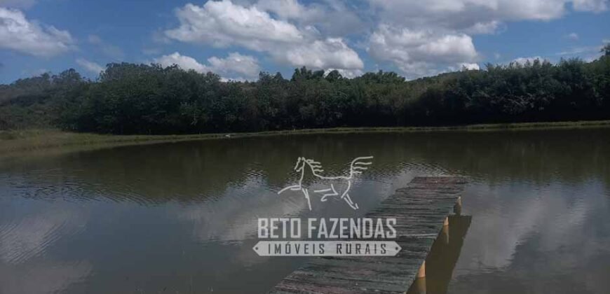 Oportunidade de Investimento 73 hectares Dupla Aptidão | São Tiago/MG