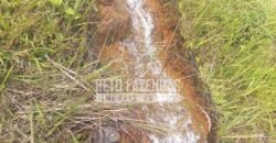 Oportunidade de Investimento 73 hectares Dupla Aptidão | São Tiago/MG