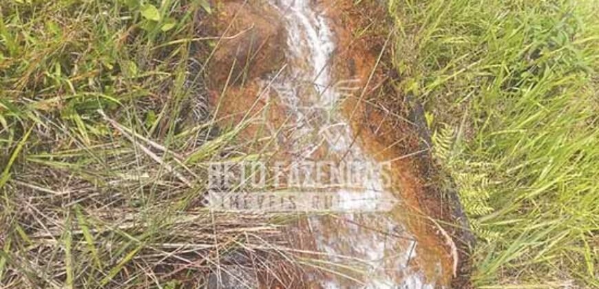 Oportunidade de Investimento 73 hectares Dupla Aptidão | São Tiago/MG