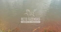 Oportunidade de Investimento 73 hectares Dupla Aptidão | São Tiago/MG