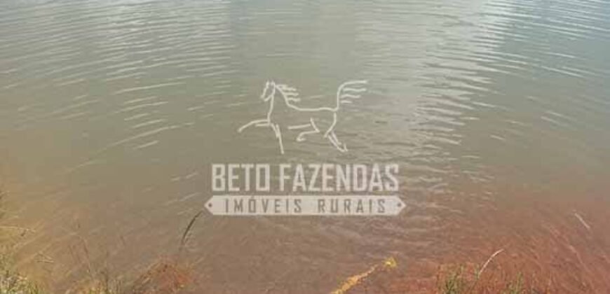 Oportunidade de Investimento 73 hectares Dupla Aptidão | São Tiago/MG