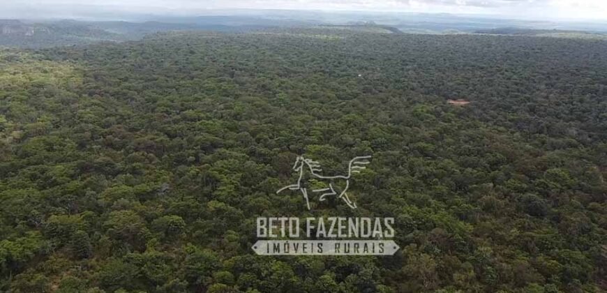 Fazenda Excepcional à Venda no Maranhão – Potencial Ilimitado para Investimento