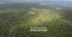 Fazenda Excepcional à Venda no Maranhão – Potencial Ilimitado para Investimento