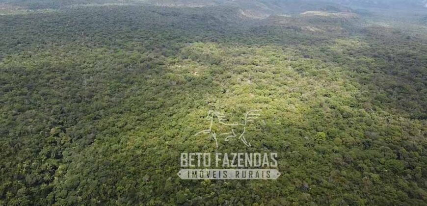 Fazenda Excepcional à Venda no Maranhão – Potencial Ilimitado para Investimento