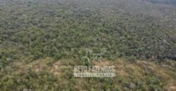 Fazenda Excepcional à Venda no Maranhão – Potencial Ilimitado para Investimento