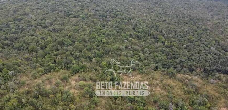 Fazenda Excepcional à Venda no Maranhão – Potencial Ilimitado para Investimento