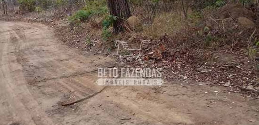 Fazenda Excepcional à Venda no Maranhão – Potencial Ilimitado para Investimento