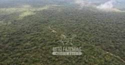 Fazenda Excepcional à Venda no Maranhão – Potencial Ilimitado para Investimento