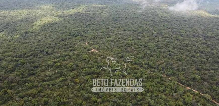 Fazenda Excepcional à Venda no Maranhão – Potencial Ilimitado para Investimento