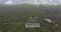Fazenda Excepcional à Venda no Maranhão – Potencial Ilimitado para Investimento