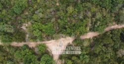 Fazenda Excepcional à Venda no Maranhão – Potencial Ilimitado para Investimento