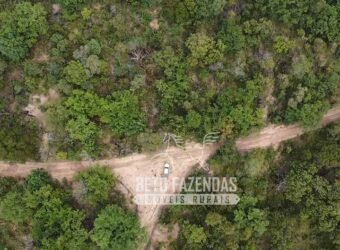 Fazenda Excepcional à Venda no Maranhão – Potencial Ilimitado para Investimento