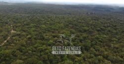 Fazenda Excepcional à Venda no Maranhão – Potencial Ilimitado para Investimento