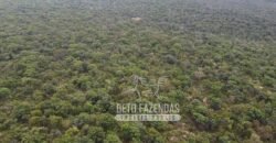 Fazenda Excepcional à Venda no Maranhão – Potencial Ilimitado para Investimento