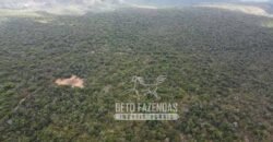Fazenda Excepcional à Venda no Maranhão – Potencial Ilimitado para Investimento
