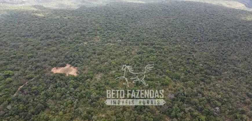 Fazenda Excepcional à Venda no Maranhão – Potencial Ilimitado para Investimento