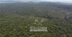 Fazenda Excepcional à Venda no Maranhão – Potencial Ilimitado para Investimento