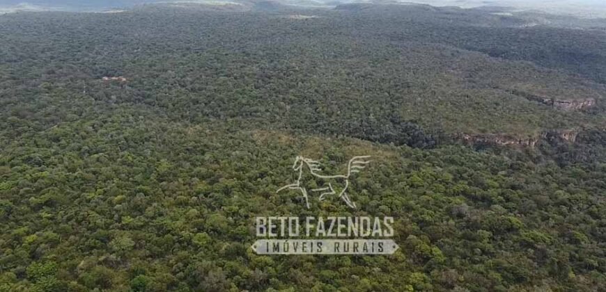Fazenda Excepcional à Venda no Maranhão – Potencial Ilimitado para Investimento