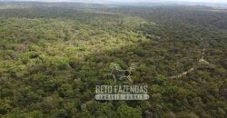 Fazenda Excepcional à Venda no Maranhão – Potencial Ilimitado para Investimento