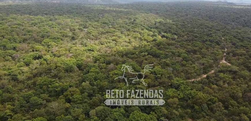 Fazenda Excepcional à Venda no Maranhão – Potencial Ilimitado para Investimento