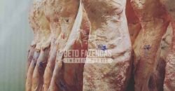 Frigorífico à Venda em São Paulo 67.000 m² – Oportunidade Única para Investidores Frigorífico à Venda em São Paulo 67.000 m² – Oportunidade Única para Investidores