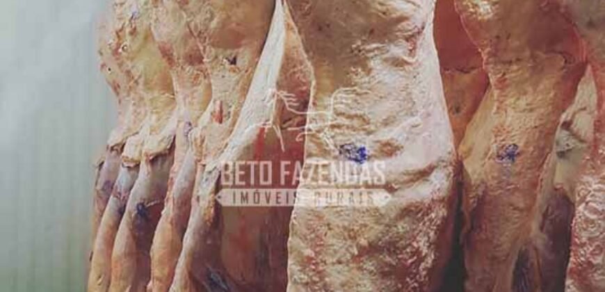 Frigorífico à Venda em São Paulo 67.000 m² – Oportunidade Única para Investidores Frigorífico à Venda em São Paulo 67.000 m² – Oportunidade Única para Investidores