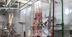 Frigorífico à Venda em São Paulo 67.000 m² – Oportunidade Única para Investidores Frigorífico à Venda em São Paulo 67.000 m² – Oportunidade Única para Investidores