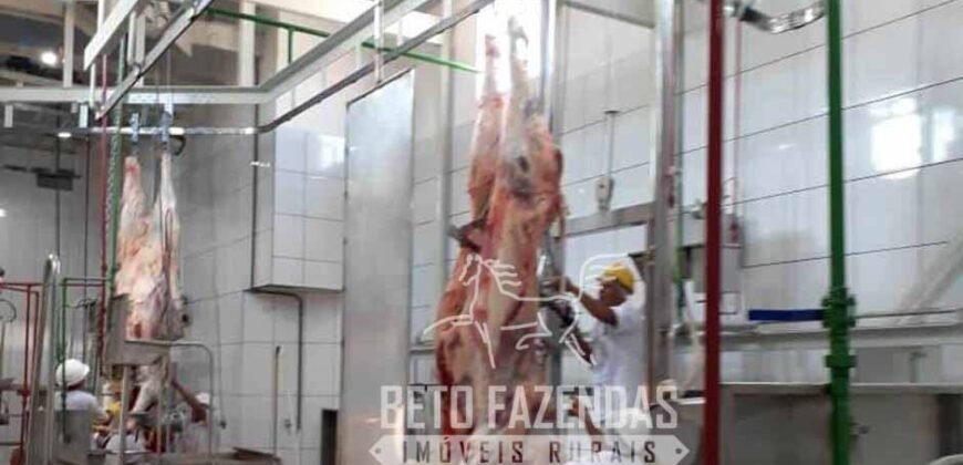 Frigorífico à Venda em São Paulo 67.000 m² – Oportunidade Única para Investidores Frigorífico à Venda em São Paulo 67.000 m² – Oportunidade Única para Investidores