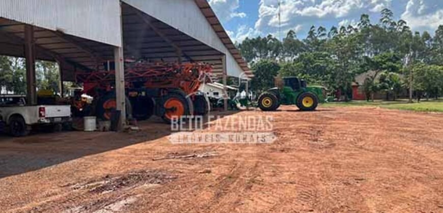 Oportunidade Única para Investidores: Fazenda de Soja Produtiva à Venda 2.249 hectares | Nobres/ MT