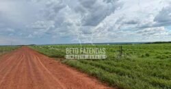 Oportunidade Única para Investidores: Fazenda de Soja Produtiva à Venda 2.249 hectares | Nobres/ MT
