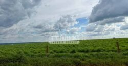 Oportunidade Única para Investidores: Fazenda de Soja Produtiva à Venda 2.249 hectares | Nobres/ MT