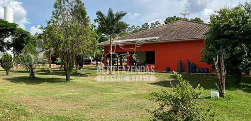 Oportunidade Única para Investidores: Fazenda de Soja Produtiva à Venda 2.249 hectares | Nobres/ MT