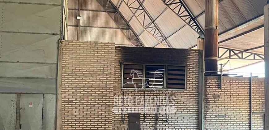 Oportunidade Única para Investidores: Fazenda de Soja Produtiva à Venda 2.249 hectares | Nobres/ MT