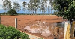 Oportunidade Única para Investidores: Fazenda de Soja Produtiva à Venda 2.249 hectares | Nobres/ MT