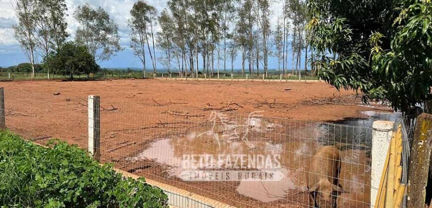 Oportunidade Única para Investidores: Fazenda de Soja Produtiva à Venda 2.249 hectares | Nobres/ MT