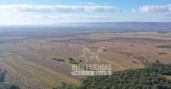 Oportunidade Única para Investidores: Fazenda de Soja Produtiva à Venda 2.249 hectares | Nobres/ MT