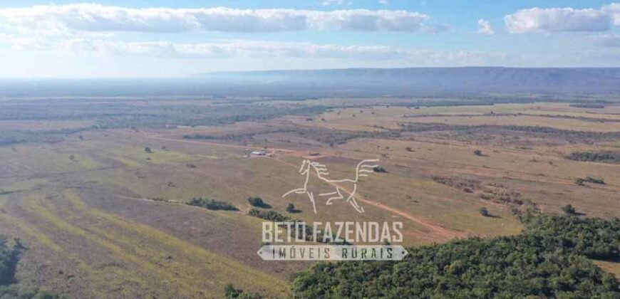 Oportunidade Única para Investidores: Fazenda de Soja Produtiva à Venda 2.249 hectares | Nobres/ MT